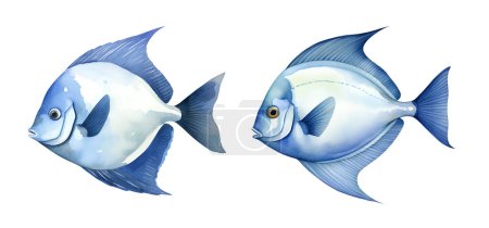 Aquarell Blauer Schlangenfisch, Meer. Illustration Cliparts isoliert auf weißem Hintergrund.