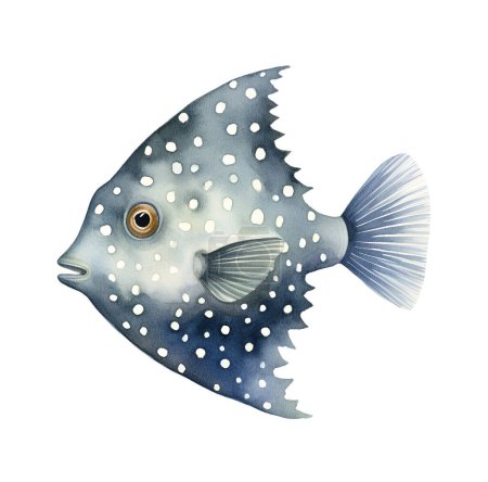 Watercolor Boxfish fish, sea. Illustration clipart isolated on white background.