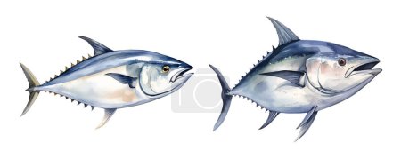 Aquarell Wahoo Fisch, Meer. Illustration Cliparts isoliert auf weißem Hintergrund.