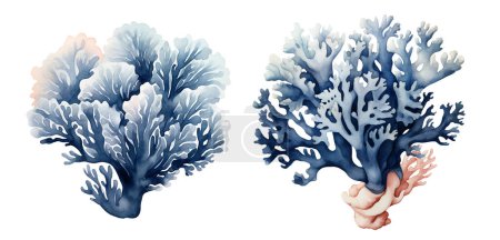 Watercolor coral, sea. Illustration clipart isolated on white background.
