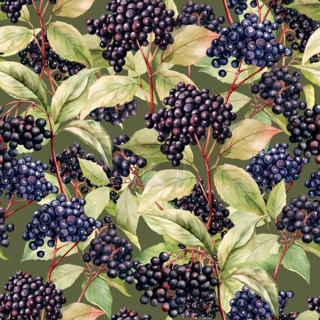 Watercolor Elderberry berry seamless pattern, watercolor illustration, background.