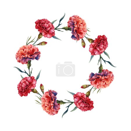 Watercolor Carnation wreath, frame. Illustration clipart isolated on white background.