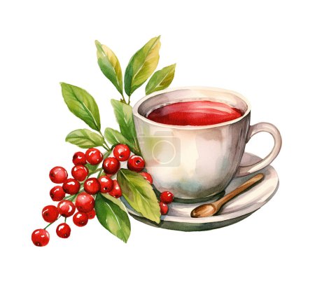 Watercolor tea with cowberry. Illustration clipart isolated on white background.