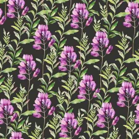 Watercolor Astragalus herb seamless pattern, watercolor illustration, background.