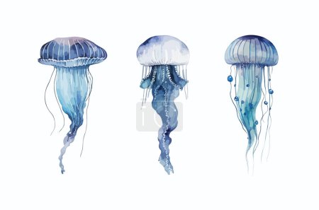Jellyfish clipart, isolated vector illustration.