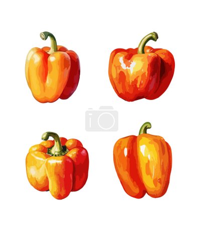Ilustración de Clipart de pimienta naranja, ilustración vectorial aislada. - Imagen libre de derechos
