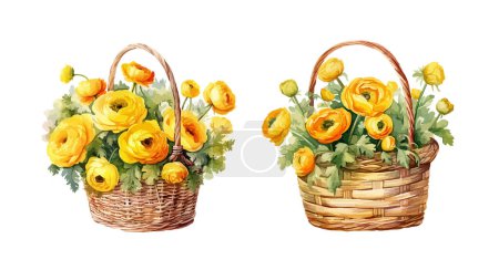 Ilustración de Clipart ranúnculo amarillo, ilustración vectorial aislada. - Imagen libre de derechos