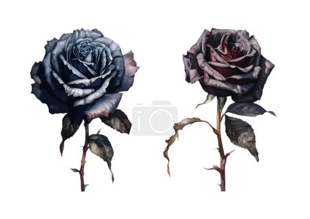 Gothic rose clipart, isolated vector illustration.