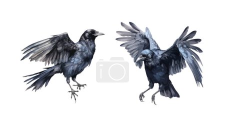 Illustration for Crow clipart, isolated vector illustration. - Royalty Free Image