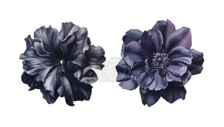 Gothic flowers clipart, isolated vector illustration.