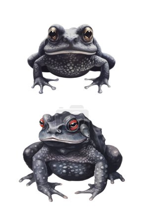 Illustration for Frog clipart, isolated vector illustration. - Royalty Free Image