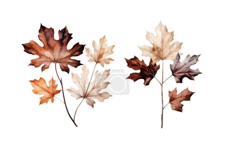 Herbst Blatt Cliparts, isolierte Vektorillustration.