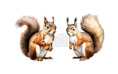 Téléchargez les illustrations : Clipart d'écureuil, illustration vectorielle isolée. - en licence libre de droit
