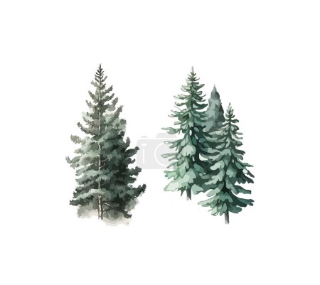 Fir tree clipart, isolated vector illustration.