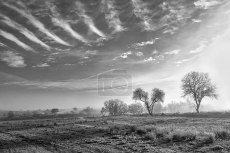 Paisaje blanco y negro brumoso con curiosas líneas de nubes y árboles en el horizonte. Fotografía tomada en Batres, Madrid (España)).