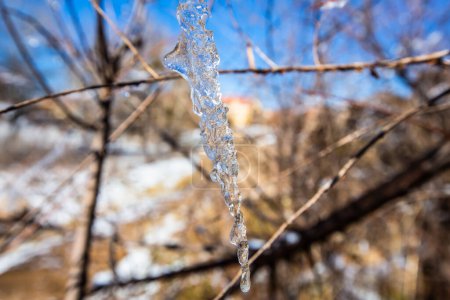 Téléchargez les photos : Gouttes d'eau glacée dans la ville d'Ifrane - en image libre de droit
