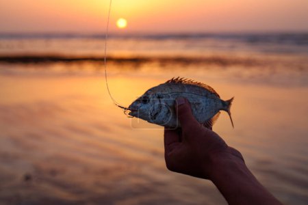 Foto de Hermoso pescado capturado por una caña de pescar con un fondo atardecer - Imagen libre de derechos