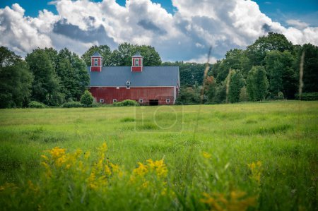 Peaceful scene of a red barn in a field surrounded by trees in Greensboro, Vermont, United States. Photo taken in August 2023.