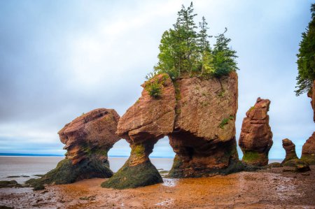 Foto de Lovers Arch at low tide, Hopewell Rocks Provincial Park, Bay of Fundy, Hopewell Cape, New Brunswick, Canadá. Foto tomada en septiembre de 2023. - Imagen libre de derechos