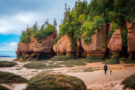 Girl walking her dog at low tide, Hopewell Rocks Provincial Park, Bay of Fundy, Hopewell Cape, New Brunswick, Canada. Photo taken in September 2023.