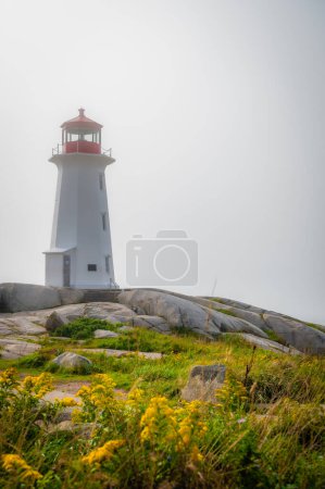 Photo for Vertical photo of the iconic Peggys Cove lighthouse by the Atlantic Ocean on a grey foggy day with yellow flowers, located near Halifax, Nova Scotia, Canada. Photo taken in September 2023. - Royalty Free Image