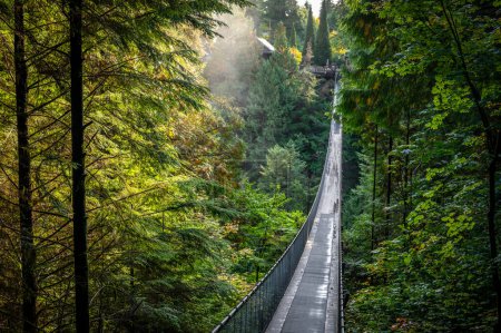 Capilano Suspension Bridge Park, a popular tourist attraction where tourists walk over river and through rainforest canopy, North Vancouver, British Columbia, Canada October 2021