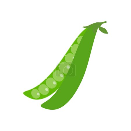 Illustration for Green peas isolated on white. Pea (Pisum sativum). - Royalty Free Image