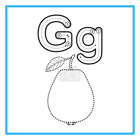 Introduction to the alphabet with examples. G is for guava. Suitable for children's practice and great for toddlers' flash cards