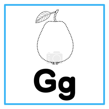 Introduction to the alphabet with examples. G is for guava. Suitable for children's practice and great for toddlers' flash cards