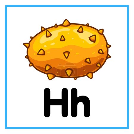 Introduction to the alphabet with examples. H is for horned melon. Suitable for children's practice and great for toddlers' flash cards