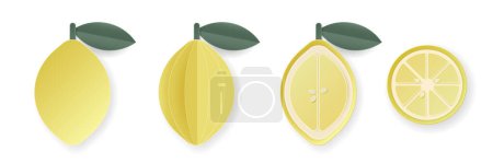 Set aus geschnittenen Zitrusfrüchten in 3-D-Papierform. Sommerschichtige Früchte. Saftige Esselemente für Restaurant, Essen, Getränke, Bars, Rezepte, Sommer, Süßigkeiten, vegan, Social Media, Präsentationsdesign.