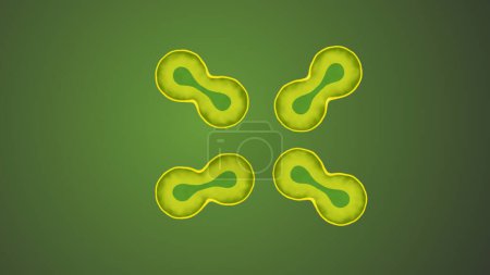 Photo for Illustration of Multiple Green Color Biology Cells Dividing - Royalty Free Image