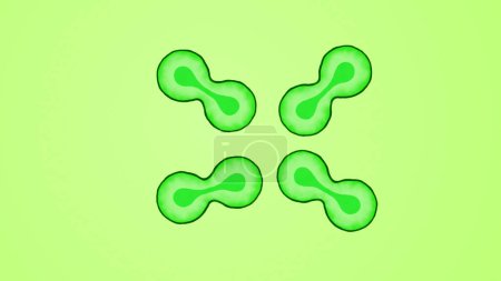 Photo for Illustration of Multiple Light Green Color Biology Cells Dividing - Royalty Free Image