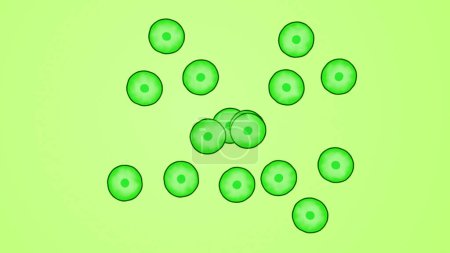 Photo for Illustration of Multiple Light Green Color Biology Cells - Royalty Free Image