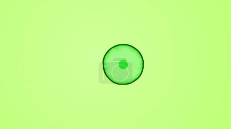Photo for Illustration of Light Green Color Biology Cell - Royalty Free Image