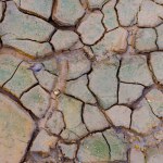 The Surface Of The Muddy Ground With A Cracked And Wet Texture, In The Village Of Belo Laut In The Afternoon