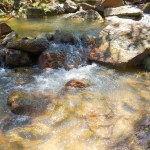 A Fresh Stream Of Fresh Water With Rocks, In A Tropical Forest, Daya Baru Village, Indonesia