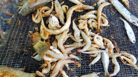 Various Types Of Small Fish Shrimp Grilled On The Grill, On The Beach