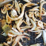 Various Types Of Small Fish Shrimp Grilled On The Grill, On The Beach
