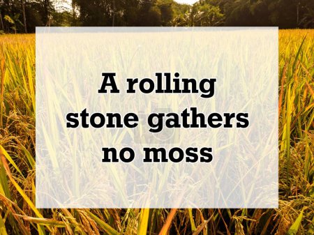 Photo for A english proverb Quote text with background. A rolling stone gathers no moss - Royalty Free Image