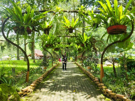 Foto de Una vista del taman kemesraan. indonesia turismo spot. hermosa arquitectura y naturaleza como el río, el árbol y el bosque. malang, indonesia - 6 maret 2024 - Imagen libre de derechos