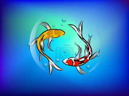 Ilustración de Peces koi nadando y persiguiéndose unos a otros - Imagen libre de derechos