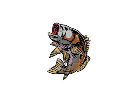 Illustration for Fish bash vector illustration. jumping predator fish. - Royalty Free Image