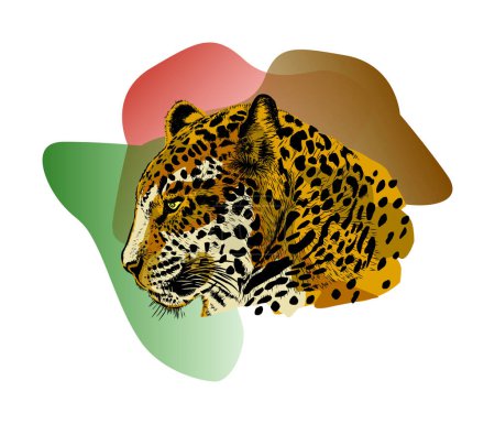 Ilustración de Cara de jaguar ilustraciones dibujadas a mano, vector de cabeza de leopardo. - Imagen libre de derechos