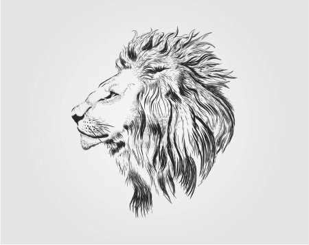 Ilustración de Arte vector cabeza de león. dibujo a mano león. - Imagen libre de derechos