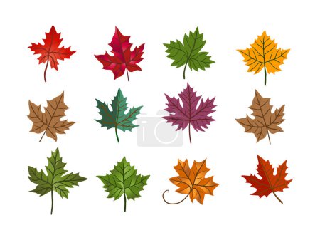 Ilustración de Una colección de varios tipos de hojas de arce. hojas coloridas. - Imagen libre de derechos