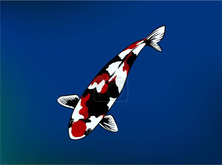 Ilustración de Ilustración de peces koi en el estanque, showa variedad arte dibujado a mano. - Imagen libre de derechos
