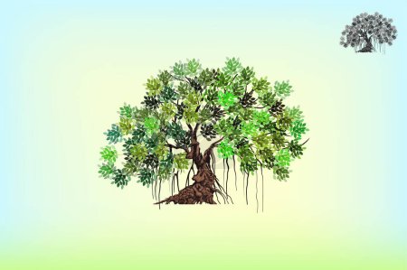 Illustration for The Ancient of Banyan tree vector illustrations - Royalty Free Image