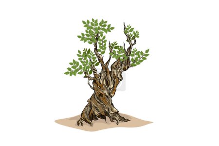 Illustration for Ancient tree vector. oldest tree illustrations - Royalty Free Image