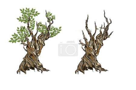 Téléchargez les illustrations : Ancien vecteur d'arbre. illustrations d'arbres les plus anciennes - en licence libre de droit